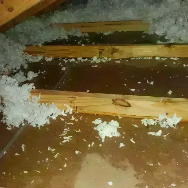 Attic Water Damage in Kachina Village, AZ