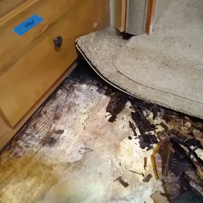 Wood Floor Water Damage in Kachina Village, AZ